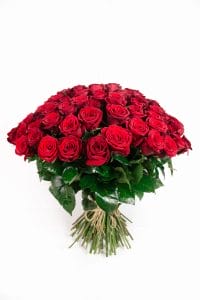 Large Roses