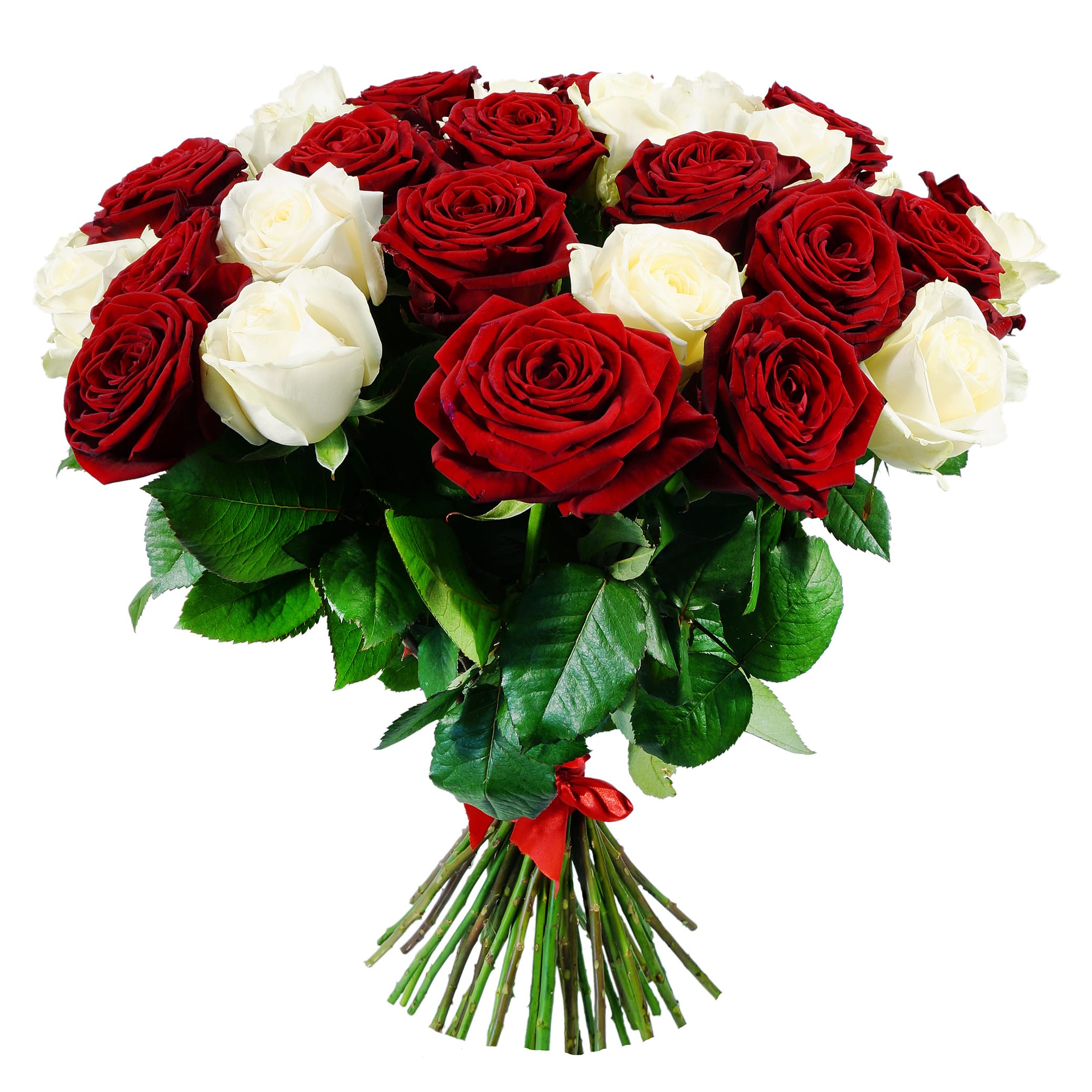 True Love · Roses Bouquet • FloralBASH
