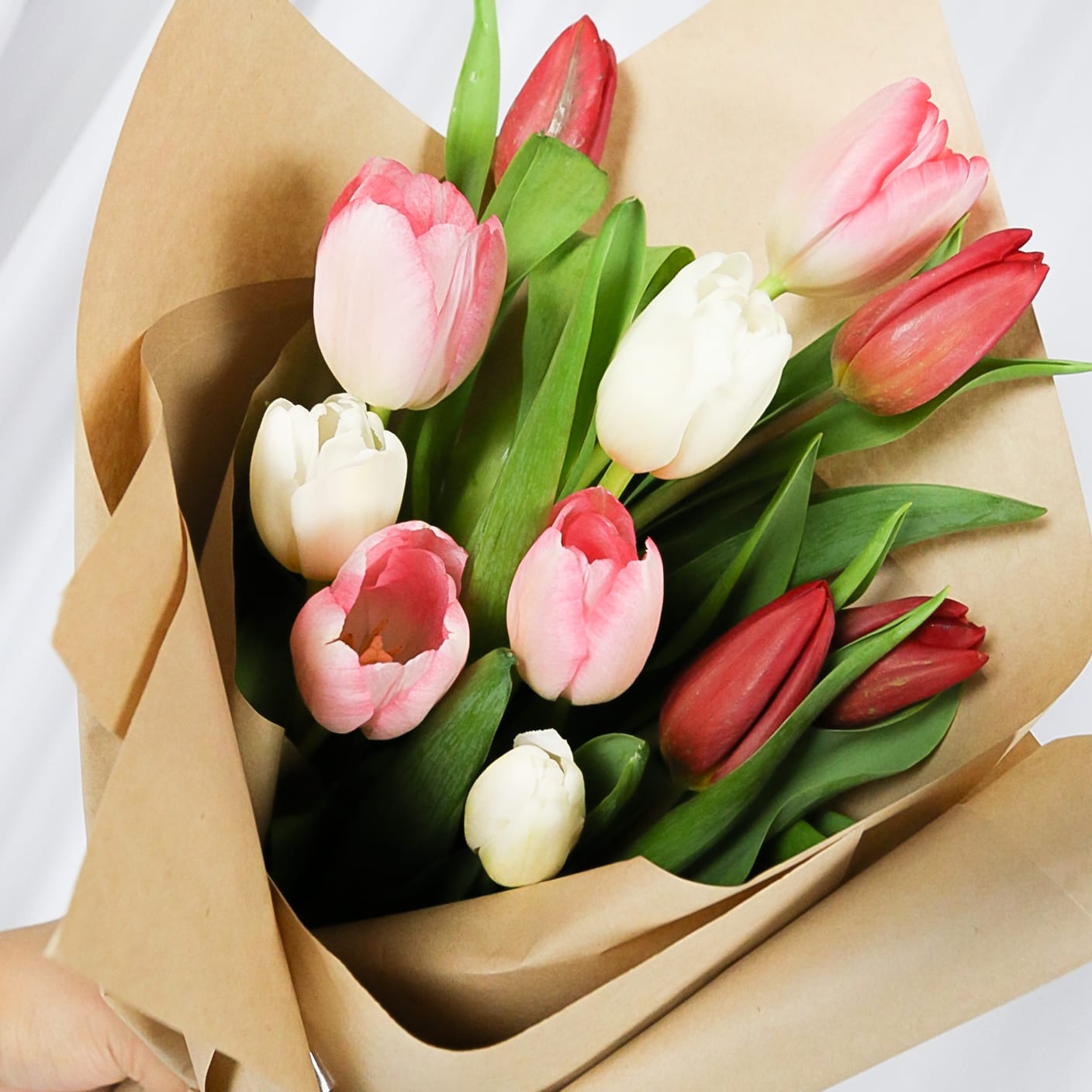 5 Best Shops for Bulk or Wholesale Flowers in Toronto • FloralBASH