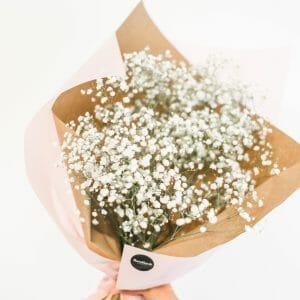 babys breath bouquet