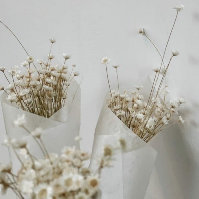 dried flowers 