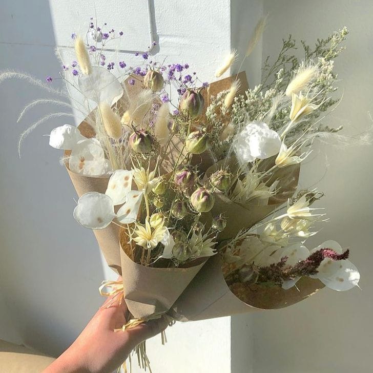  Dried flowers, cotton, bunny tails, dried flowers