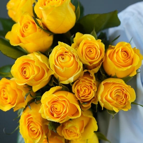 Yellow Roses Toronto